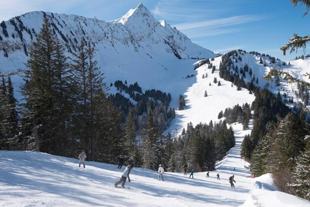 Les Cimes, Chaleureux Studio 4 Pers, 50M Du Telecabine, Vue Degagee Sur Les Pistes, Draps Non Compris Saint-Jean-dʼAulps Εξωτερικό φωτογραφία