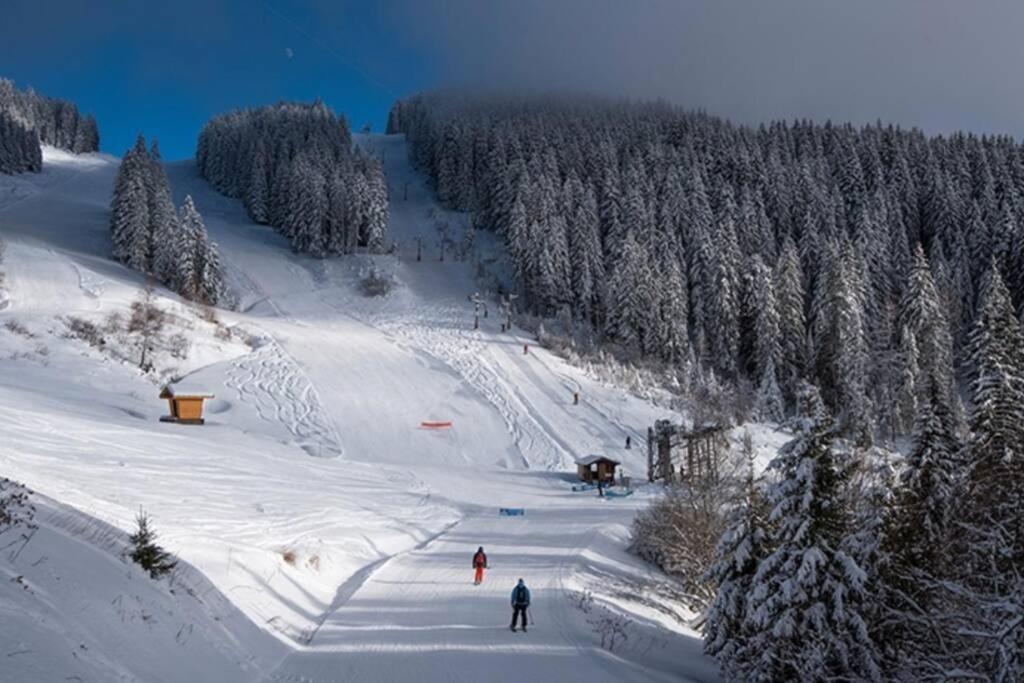 Les Cimes, Chaleureux Studio 4 Pers, 50M Du Telecabine, Vue Degagee Sur Les Pistes, Draps Non Compris Saint-Jean-dʼAulps Εξωτερικό φωτογραφία