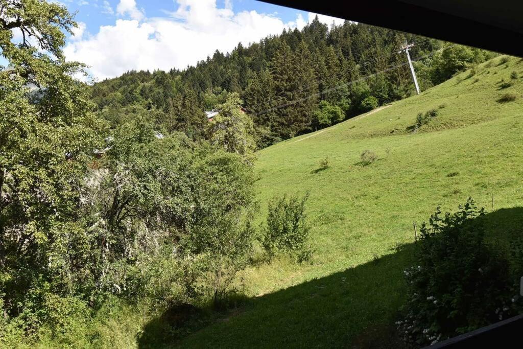 Les Cimes, Chaleureux Studio 4 Pers, 50M Du Telecabine, Vue Degagee Sur Les Pistes, Draps Non Compris Saint-Jean-dʼAulps Εξωτερικό φωτογραφία