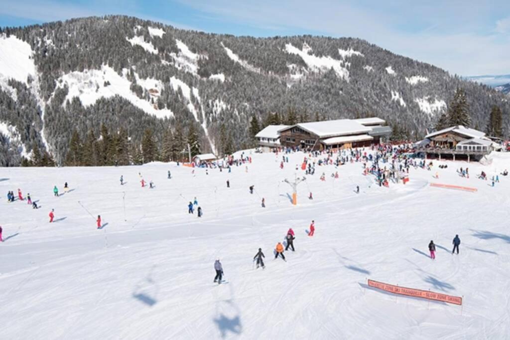 Les Cimes, Chaleureux Studio 4 Pers, 50M Du Telecabine, Vue Degagee Sur Les Pistes, Draps Non Compris Saint-Jean-dʼAulps Εξωτερικό φωτογραφία